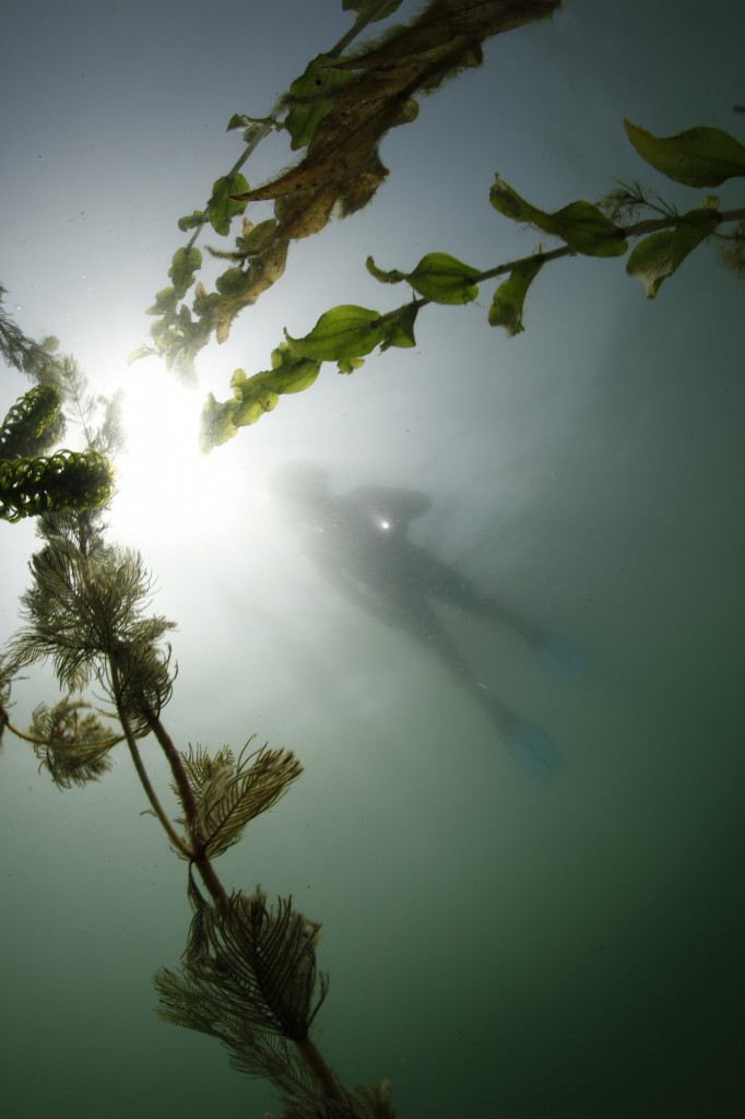 Een duiker in het Gardameer met de zonnestralen die in het water schijnen