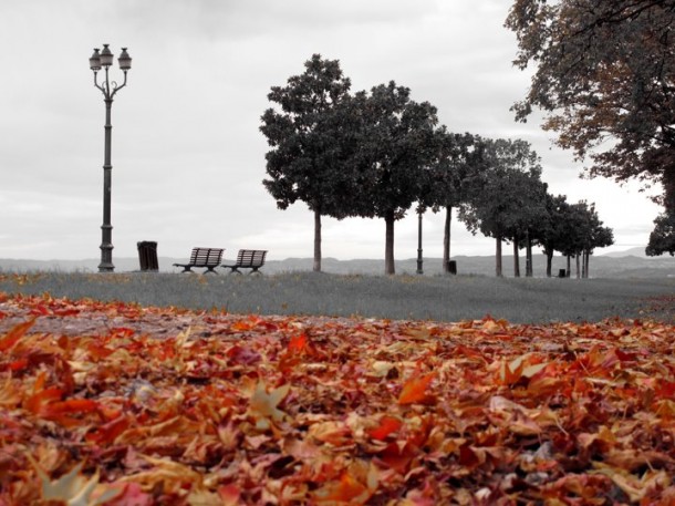 Herfst aan het Gardameer