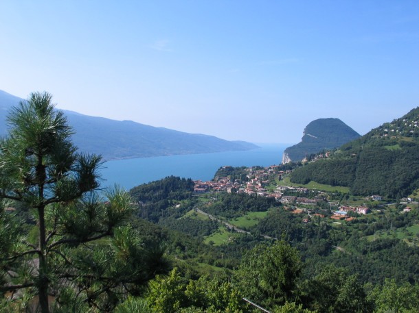 Tremosine