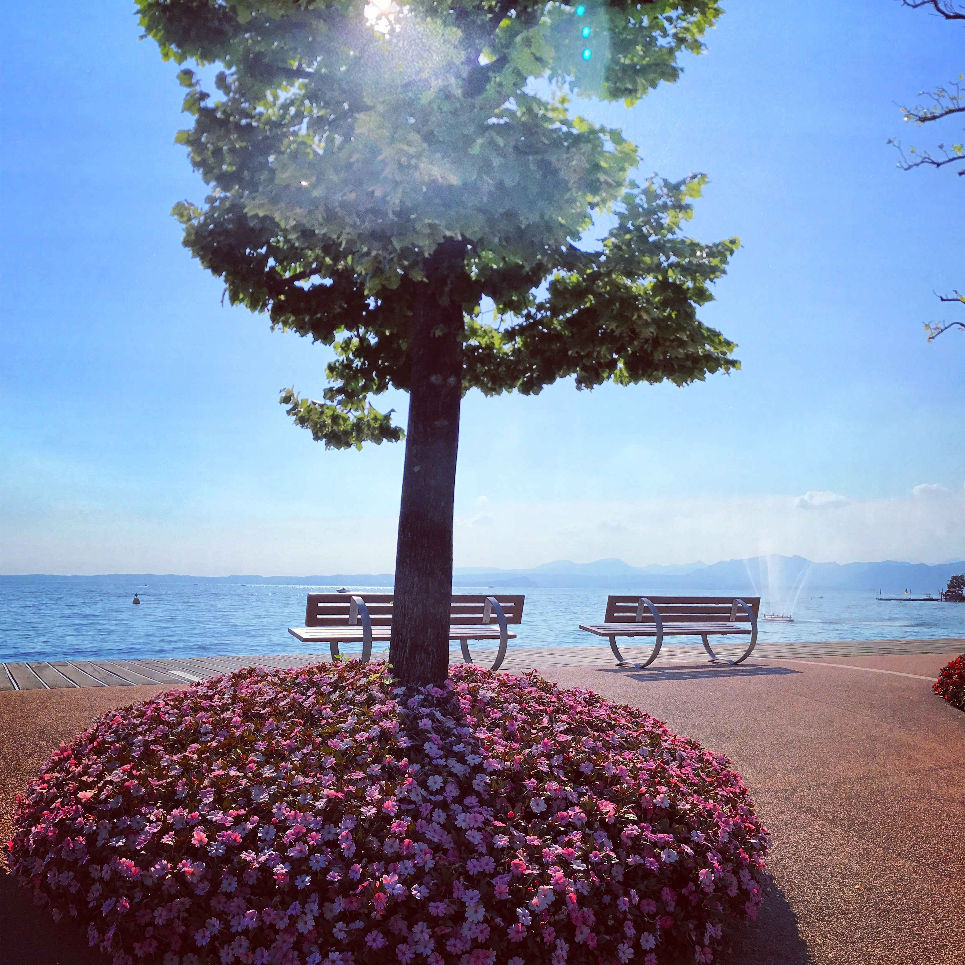 De promenade van Bardolino